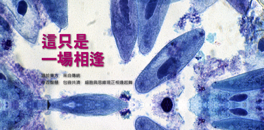 天仙液研究網站 | Tian Xian Liquid And Cancer Research Website