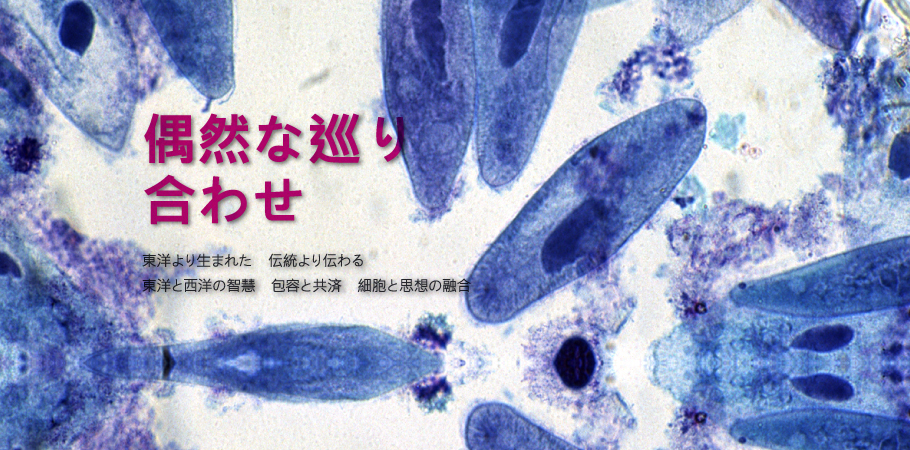 天仙液研究サイト | Tian Xian Liquid And Cancer Research Website